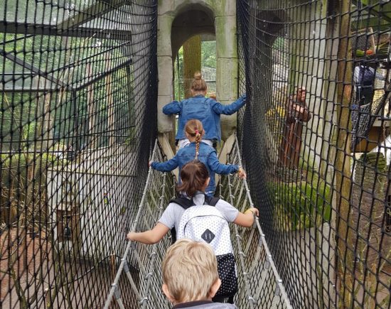bondgenoten speeltoestel